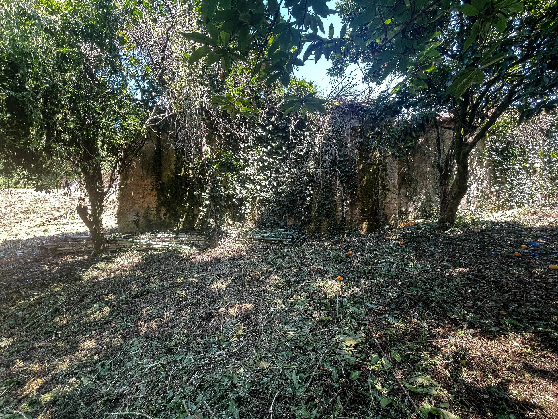 Terreno urbano em Valongo do Vouga - Aveiro - Portugal MHA Garage