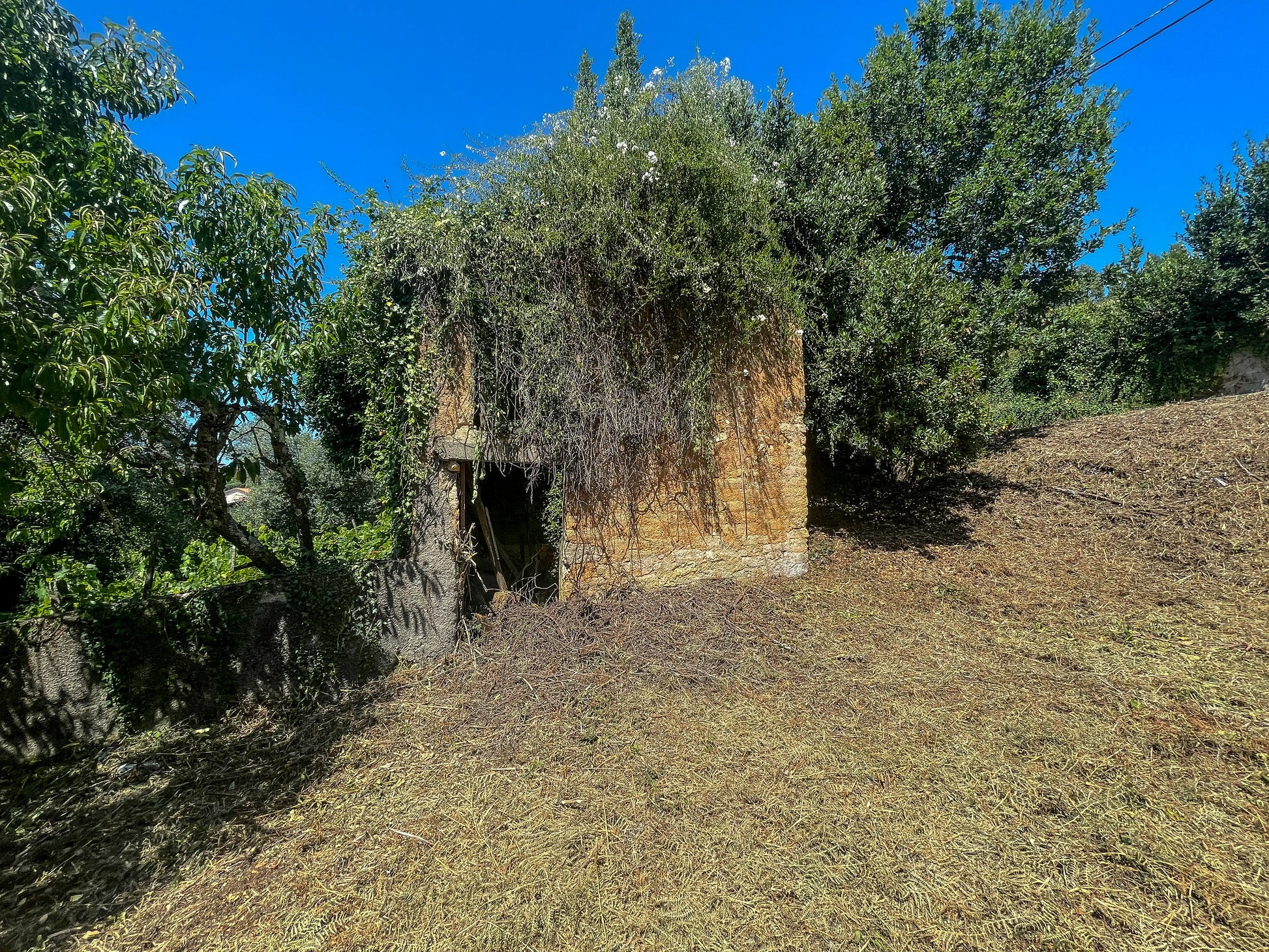 Terreno urbano em Valongo do Vouga - Aveiro - Portugal MHA Garage